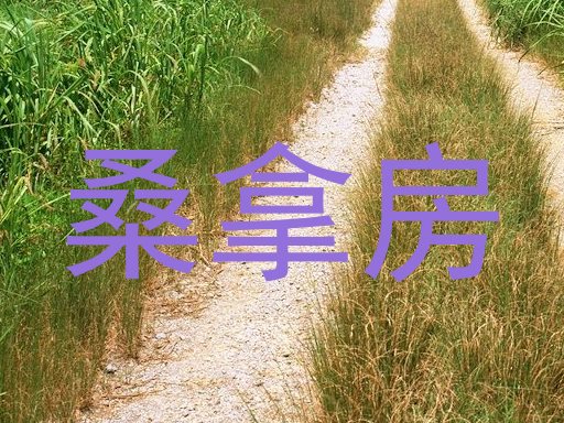 桑拿房