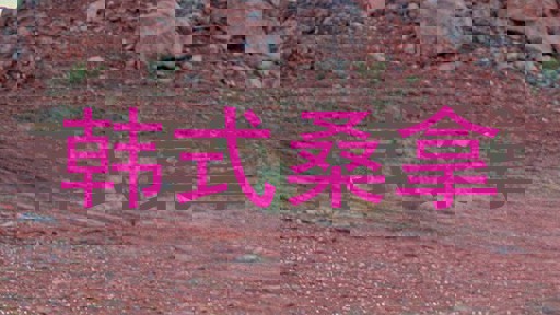 韩式桑拿