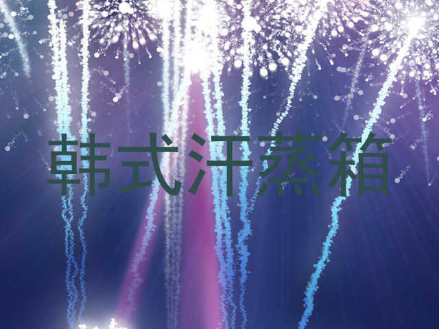 韩式汗蒸箱