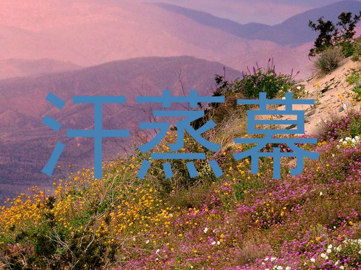 汗蒸幕