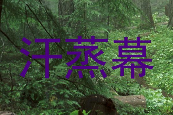 汗蒸幕