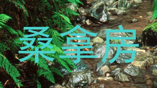 桑拿房
