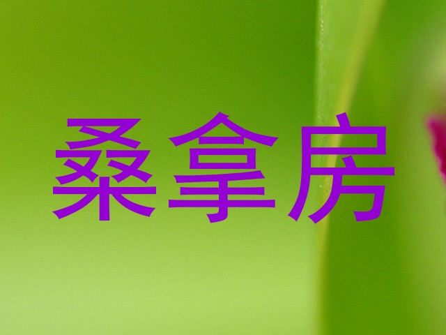 桑拿房