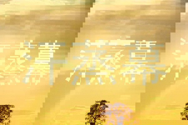 汗蒸幕
