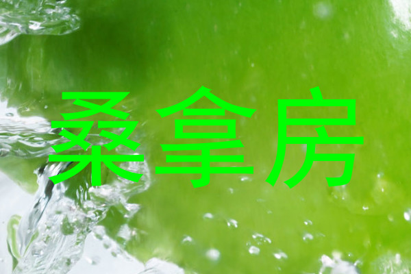桑拿房