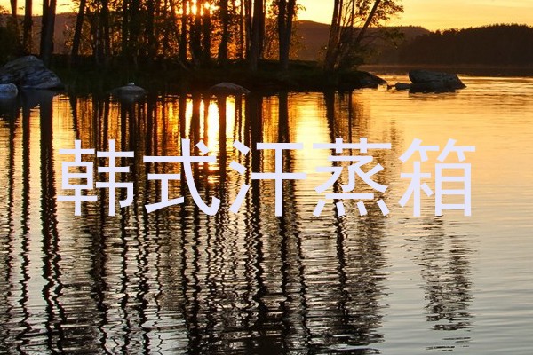 韩式汗蒸箱