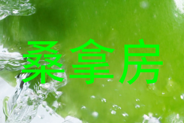 桑拿房