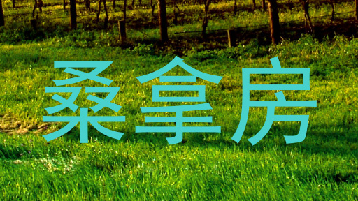 桑拿房