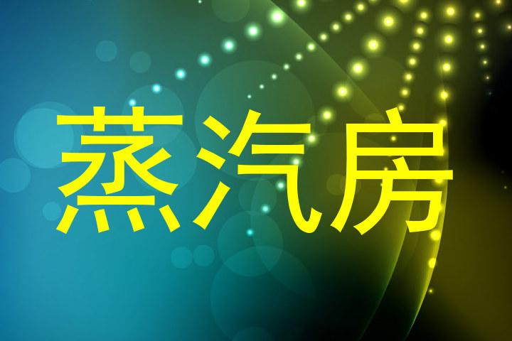 蒸汽房