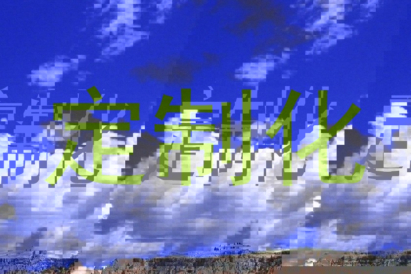 定制化