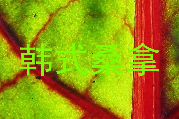 韩式桑拿