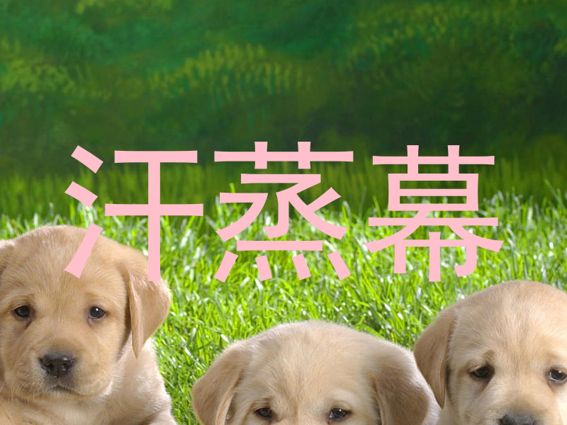 汗蒸幕
