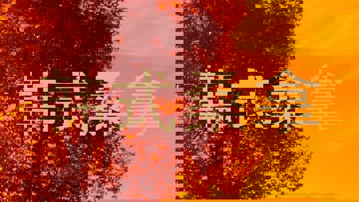 韩式桑拿