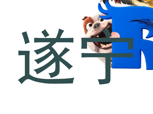 遂宁