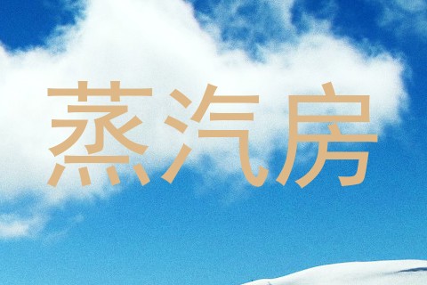 蒸汽房