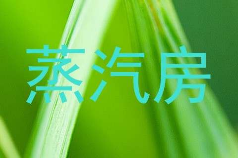 蒸汽房