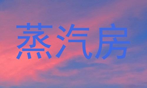 蒸汽房