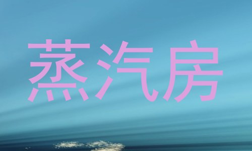 蒸汽房