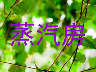 蒸汽房