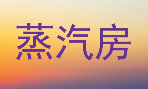 蒸汽房