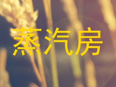 蒸汽房