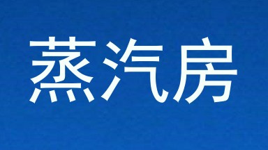 蒸汽房
