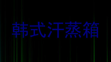 韩式汗蒸箱