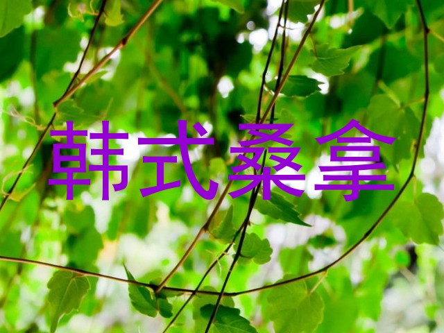 韩式桑拿
