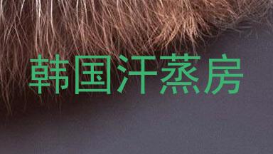 韩国汗蒸房