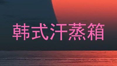 韩式汗蒸箱