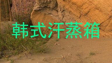韩式汗蒸箱