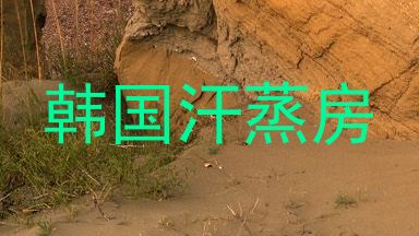 韩国汗蒸房