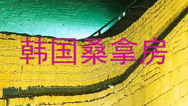 韩国桑拿房