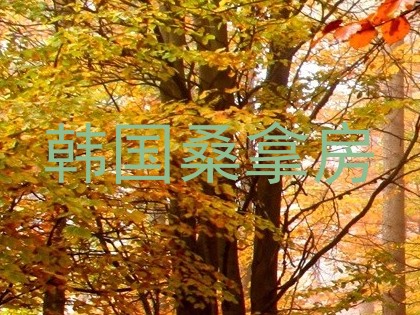 韩国桑拿房