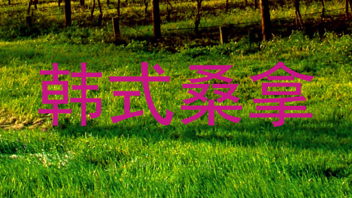韩式桑拿
