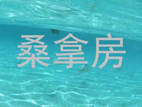 桑拿房