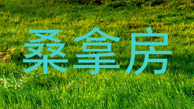 桑拿房
