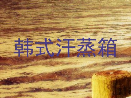 韩式汗蒸箱