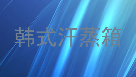 韩式汗蒸箱