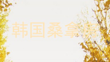 韩国桑拿房