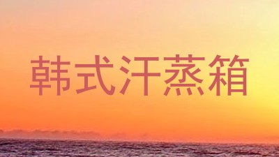 韩式汗蒸箱
