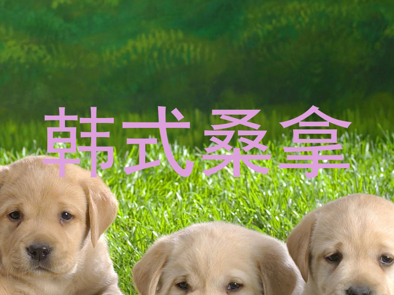 韩式桑拿