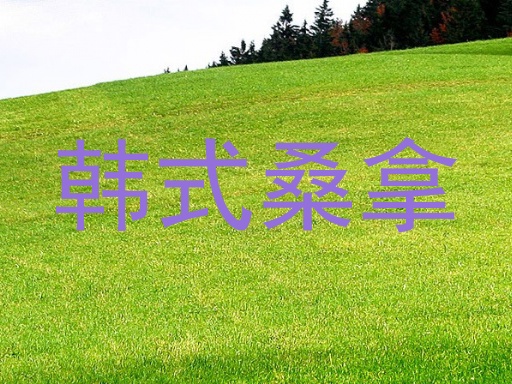 韩式桑拿