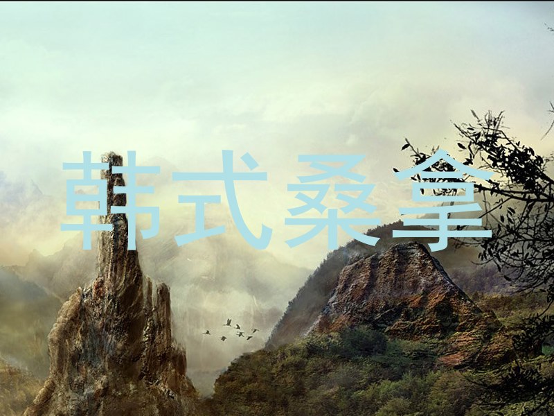 韩式桑拿