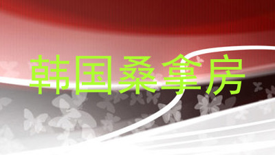 韩国桑拿房