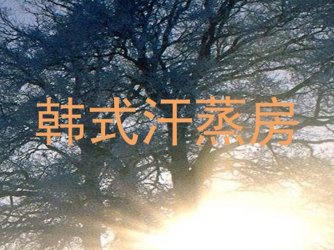 韩式汗蒸房