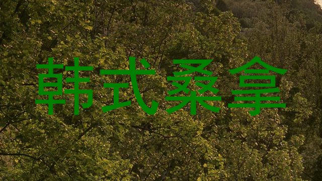 韩式桑拿