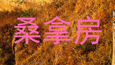 桑拿房