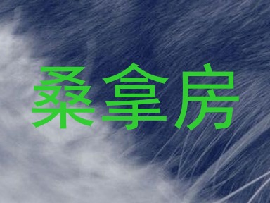 桑拿房