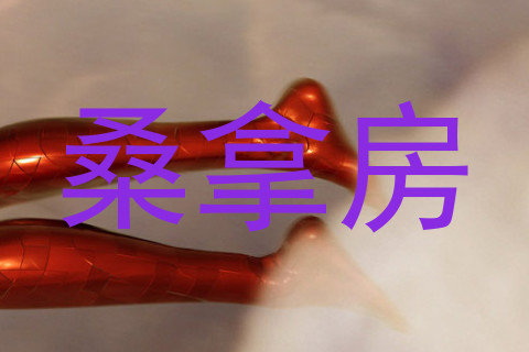 桑拿房